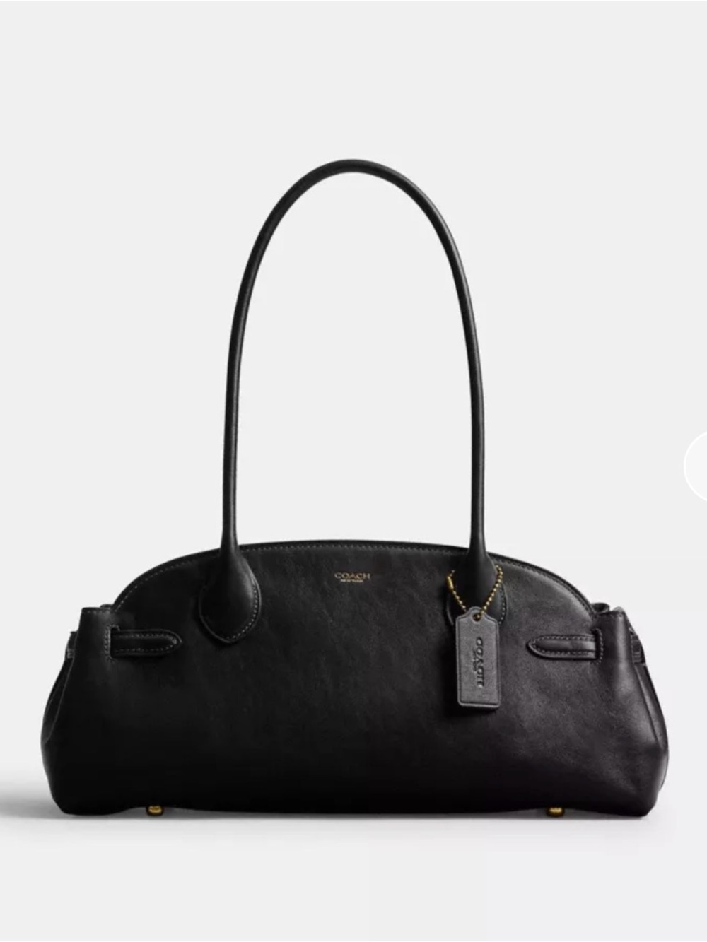 Coach Empire Carryall Bag 34
